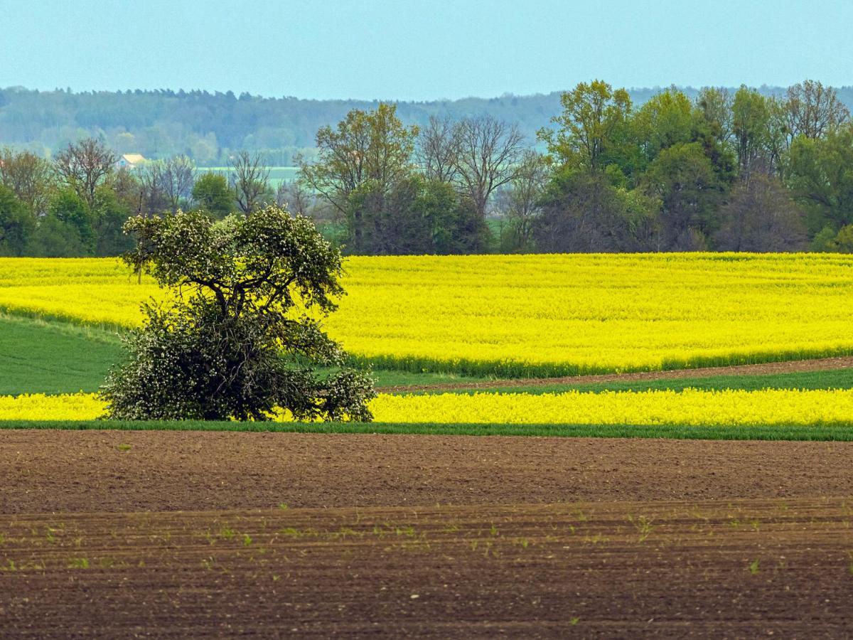 Cztery Luksusowe Na Mazurach, Jezioro Juksty - Sakurarest Villa *